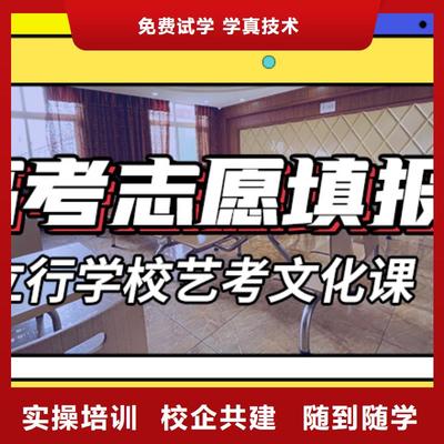 美術(shù)藝考文化課集訓(xùn)與報名優(yōu)惠指南